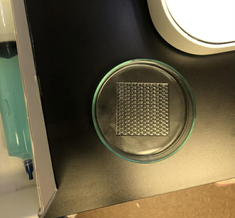 3D Bioprinting